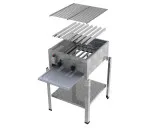 MUE Gas-Kombibräter 2-flammig