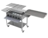 MUE Gas-Kombibräter 5-flammig